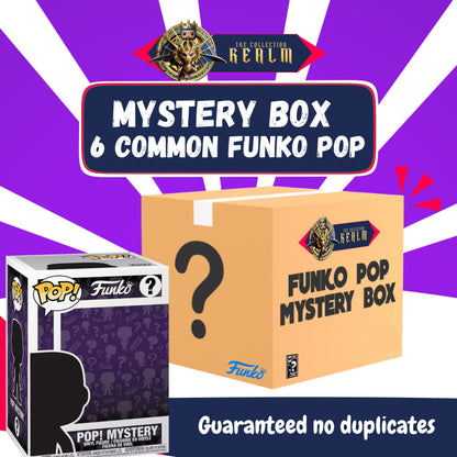 Funko Starter Collector Mystery Box Set of 6 (Random Common Pops)