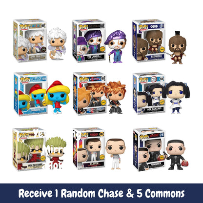 Funko Starter Collector Mystery Box Chase - Includes 6 Random Pops (5 Common, 1 Chase)