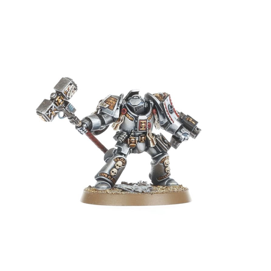 Warhammer 40K Combat Patrol Grey Knights Army Set – 17 Miniatures Including Castellan Crowe, Strike Squad, Brotherhood Terminators & Venerable Dreadnought