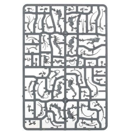 Warhammer 40K Combat Patrol Adepta Sororitas Army Set – 27 Multipart Plastic Miniatures, Sisters of Battle Warhammer 40,000 Starter & Expansion Box with Canoness and Celestian Sacresants (PRE-ORDER)