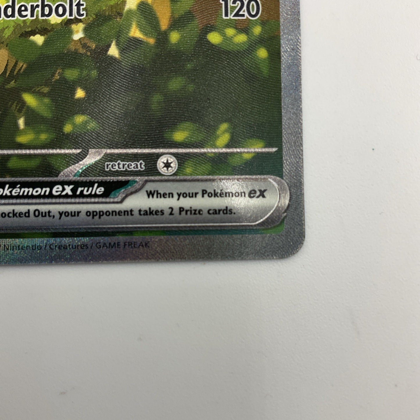 Ascended Heroes  Forest Pikachu Ex #276/217 NM SIR Pokemon Card
