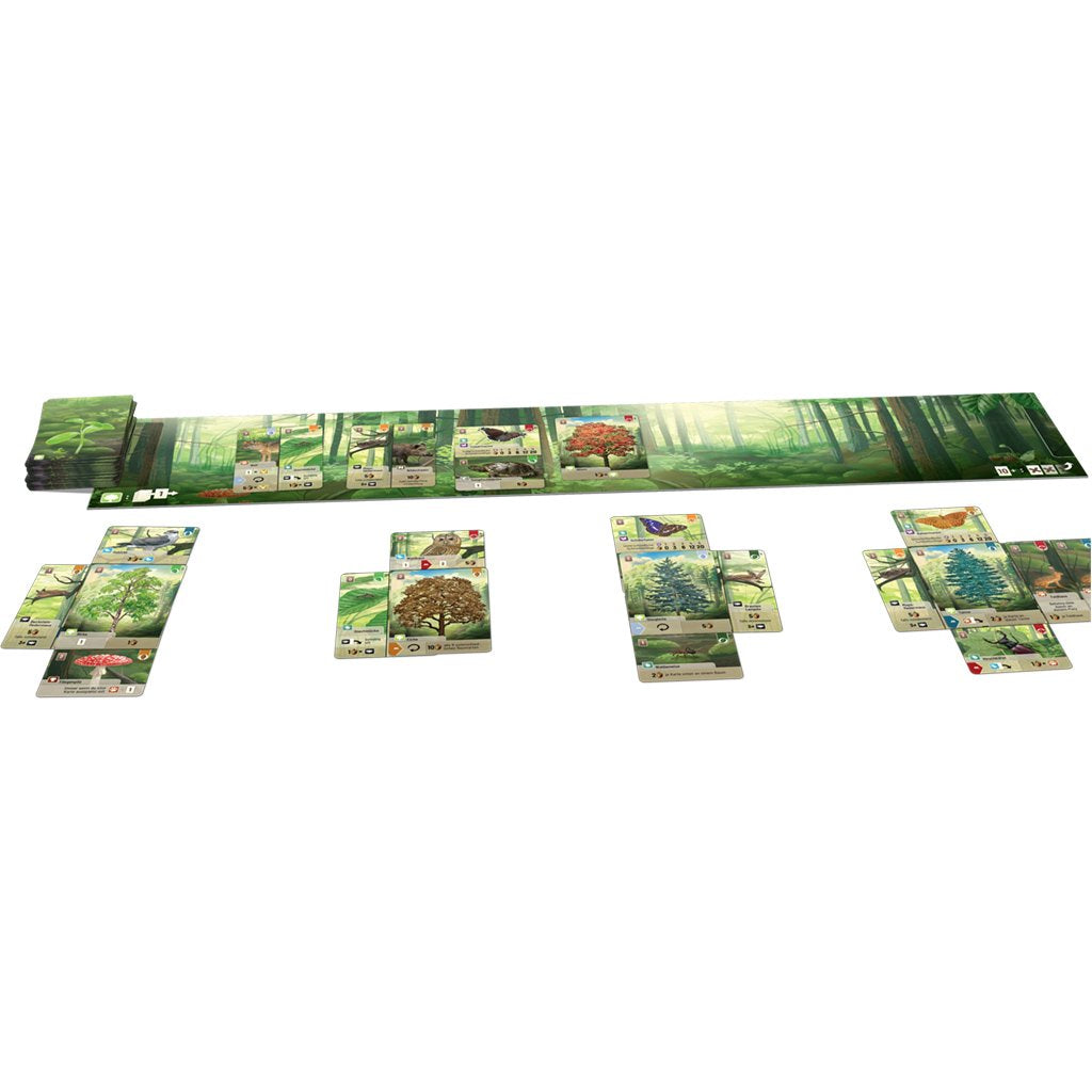 Forest Shuffle Strategy Card Game (PREORDER - Release Date June 2026)