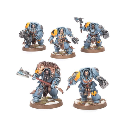 Warhammer 40,000 Combat Patrol: Space Wolves – 21 Miniatures Including Wolf Guard Battle Leader, Terminators, Blood Claws & Wulfen