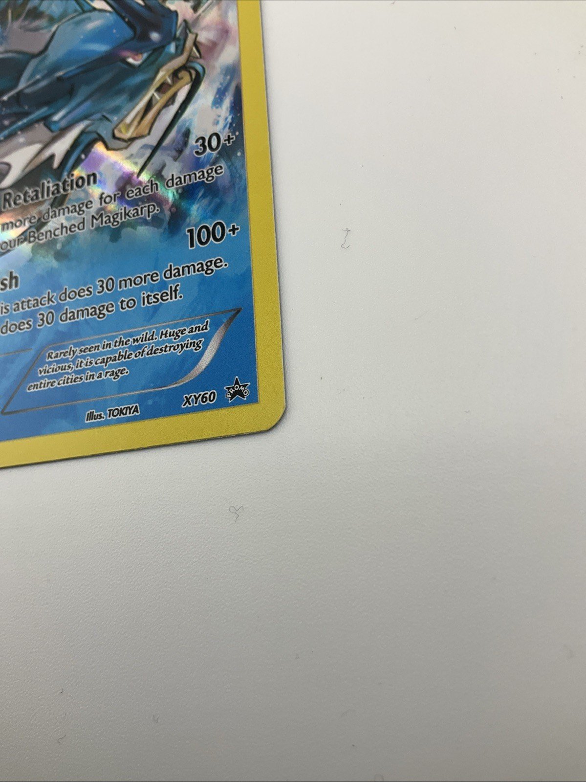 2015 Pokemon Gyarados XY Ancient Origins Prerelease XY60 Black Star Promo NM