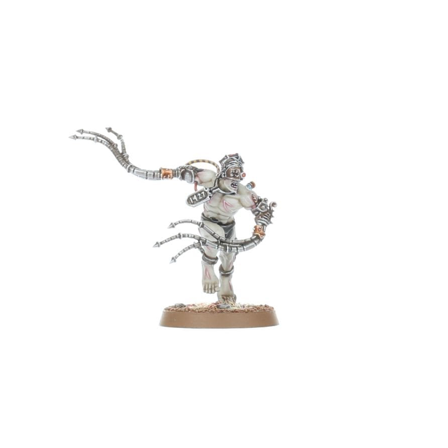 Warhammer 40K Combat Patrol Adepta Sororitas Army Set – 27 Multipart Plastic Miniatures, Sisters of Battle Warhammer 40,000 Starter & Expansion Box with Canoness and Celestian Sacresants (PRE-ORDER)
