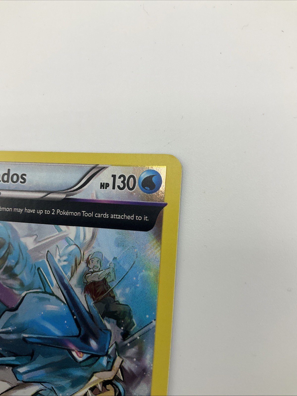 2015 Pokemon Gyarados XY Ancient Origins Prerelease XY60 Black Star Promo NM