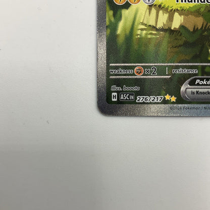 Ascended Heroes  Forest Pikachu Ex #276/217 NM SIR Pokemon Card